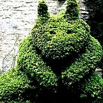 sinistertopiary