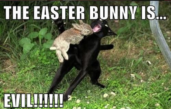 icanhascheezburgercom-the-easter-bunny-is-evil.jpg