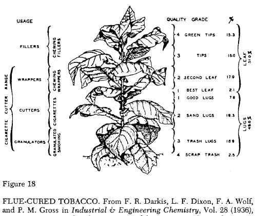 flue-cured.jpg