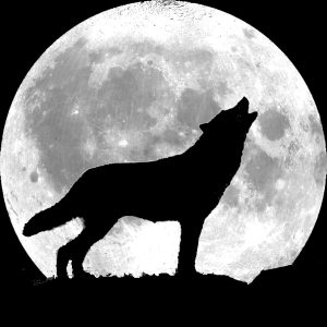 wolf-howling-full-moon.png