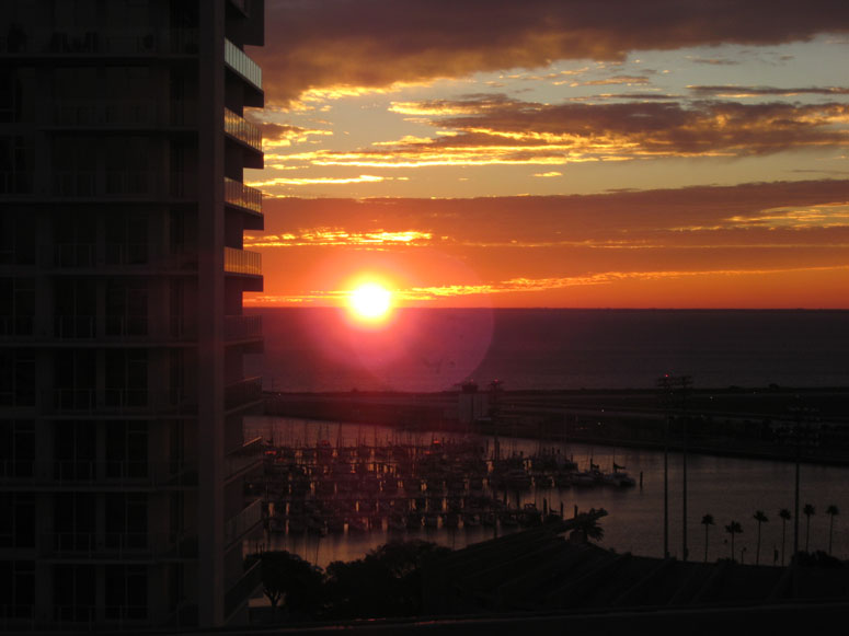 office-view-02-11-2010-05.jpg