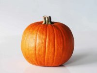 pumpkin.jpg