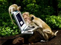 Monkeys-at-laptop-718x523.jpg