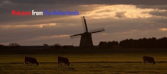 welcome from holland5.jpg