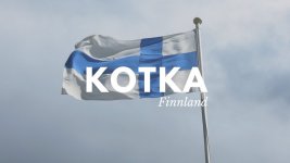 kotka.jpg