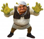 Anitchka Shrek.jpg