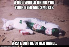 a-dog-would-bring-you-your-beer-and-smokes.jpeg