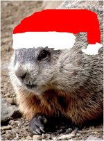 GroundhogChristmas.jpeg