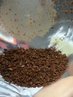 74343C60-5F45-4B93-8DC9-E892D98D4EF8.jpeg 74343C60-5F45-4B93-8DC9-E892D98D4EF8.jpeg