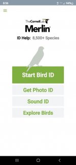 Screenshot_20220613-205603_Merlin Bird ID.jpg