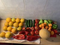 Fruits & Vegetables week supplies (with pipe).JPG