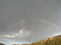 9.3.22 rainbow.jpg