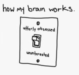 how-my-brain-works-utterly-obsessed-uninterested-light-switch-1457150416.jpg