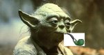 yoda smoking.jpg