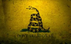 20290-military-flags-usa-navy-concrete-dont-tread-on-me-gadsden-flag-1-748x468.jpg