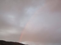 10.12.22 evening rainbow.jpg