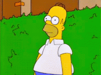 z-homer retreating into bush gif.gif