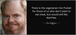 quote-there-is-the-vegetarian-hot-pocket-for-those-of-us-who-don-t-want-to-eat-meat-but-would-...jpg