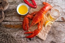 Maine Lobster.jpg