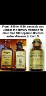 z-cannabis elixer most widely prescribed medication for over 100 illnesses.jpg