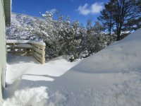 3.1.23 piled up snow.jpg