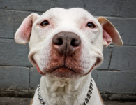 Screen Shot 2023-03-04 at 2.13.38 PM.png Screen Shot 2023-03-04 at 2.13.38 PM.png