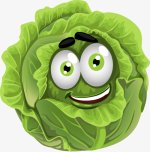 cabbage-clipart-cartoon.jpg