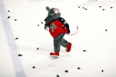 watch-rats-rain-down-after-panthers-goal-leads-to-two-delay-of-game-penalties.png