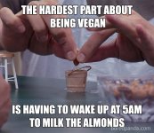 2783458_vegan-memes-24-5bc97a7e45549__700_1596390689.jpg