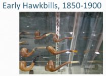 Early versions of the Hawkbill.jpg