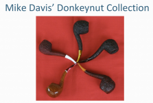 Mike Davis' Donkey Nut Collection.png