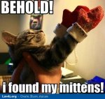 behold-i-found-my-mittens-cat-meme.jpg