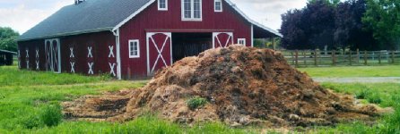 Blog-F1-05.04.22_Using-Horse-Manure-As-a-Power-Source.jpg