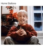 falls-mariah-carey-sylvester-stallones-face-photoshopped-over-macaulay-culkins-in-home-alone.jpg