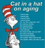 cat in the hat.png