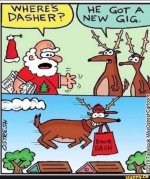 dasher.jpg