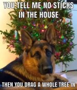 funny-christmas-meme-11.jpg