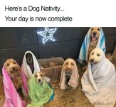 DogNativity.jpg