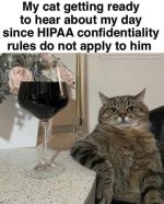 hipaa (1).jpg