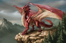 A REAL Welsh dragon.jpg