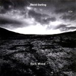 David Darling Dark Wood.jpg
