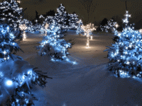 146974-Twinkling-Animated-Christmas-Lights-606360918.gif