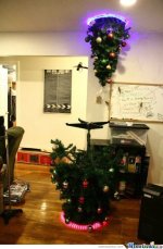 Hanging-Christmas-Tree-Christmas-Tree-Meme-2890170314.jpg