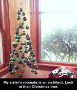 My-Sisters-Roomate-Is-Christmas-Tree-Meme-1305286225.jpg