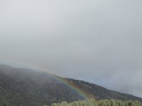 12.30.23 rainbow.jpg