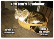 New-Years-Resolution-3735071205.jpg