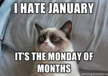 I-Hate-January-Its-January-Meme-1791919359.jpg