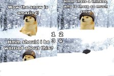 snow-meme-2021-worried-1066430572.jpg