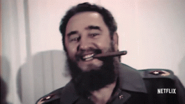 fidel-point.gif