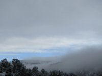 2.6.24 morning snow & fog 2.jpg